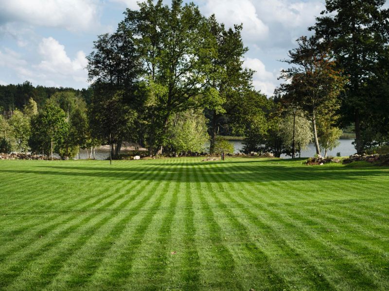 Sprawdź aktualne promocje Husqvarna